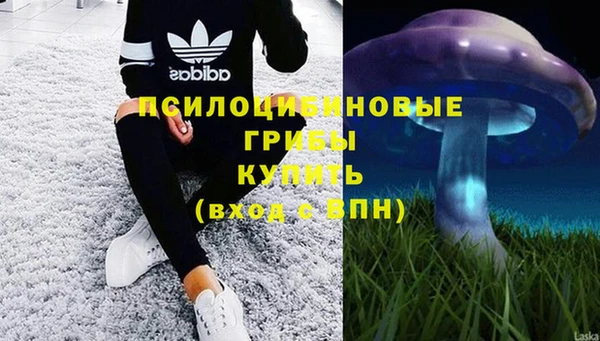 таблы Мегион