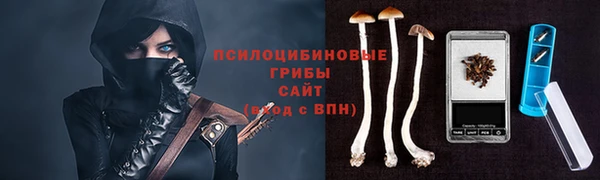 таблы Мегион