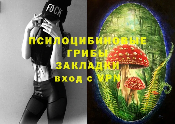 СК Медвежьегорск