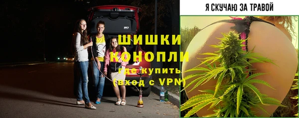 бошки Медногорск