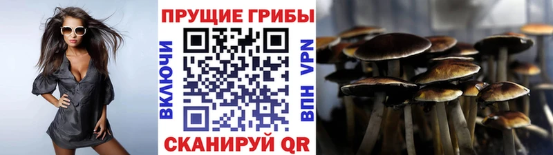 Галлюциногенные грибы Magic Shrooms Малаховка
